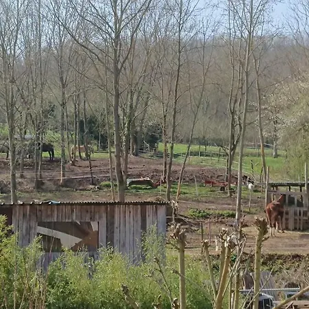 Alsace Maison Independante Proche Strasbourg Holiday home Mutzig