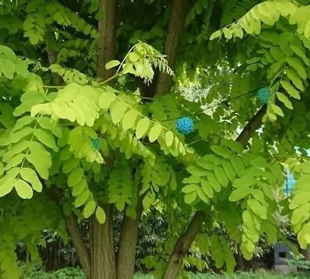 Alsace Maison Independante Proche Strasbourg Holiday home Mutzig