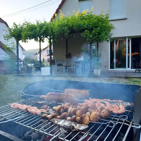 Alsace Maison Independante Proche Strasbourg Mutzig
